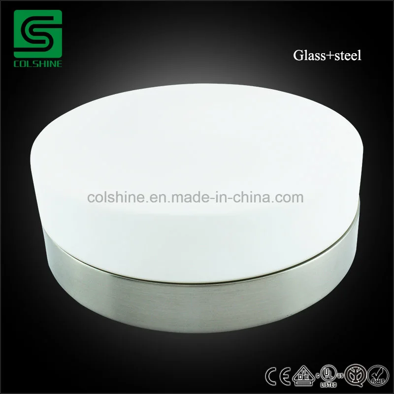 Surface Mount LED Ceiling Panel Light Bathroom Modern Ceiling Lamp