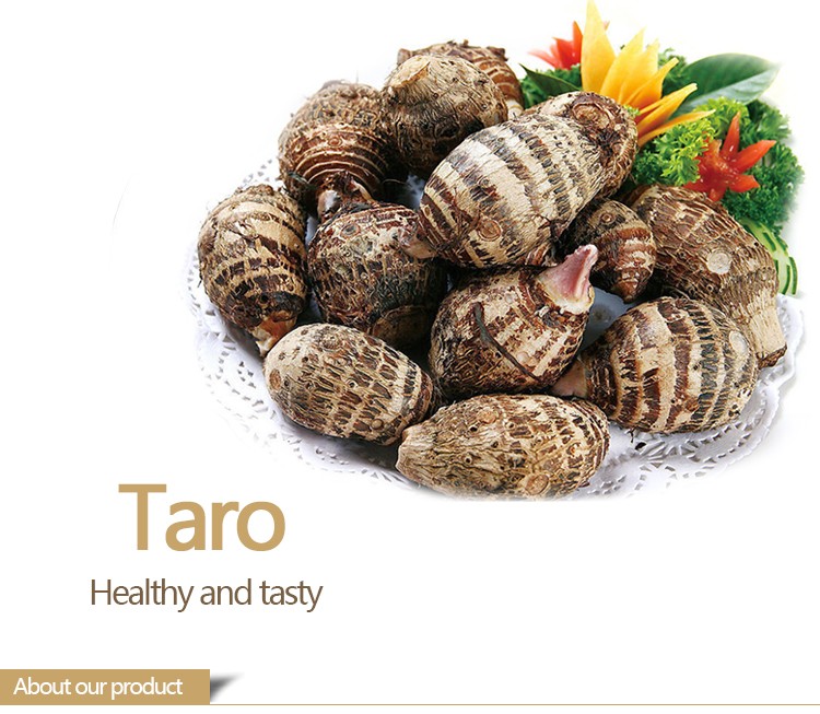 China best fresh taro for international marker