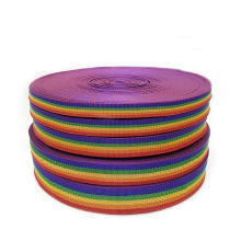 High Quality PP Ribbon Gift Rainbow for Bag Handle and Garment Accessories