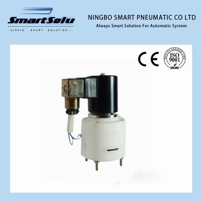 PTFE Material Flange Connection, Solenoid Control Valve with High Quality