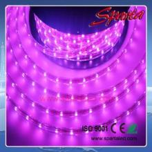 220V  LED strip ligth  60leds/m