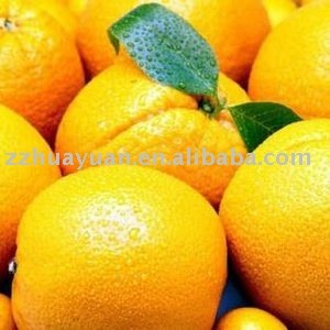 Citrus(China honey mandarin)