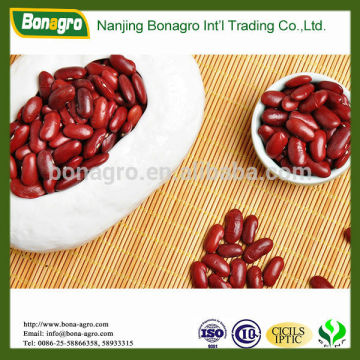 sugar bean/dark red kidney bean