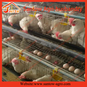 Galvanized chicken egg layer cages poultry cage chicken farm building for Africa farm