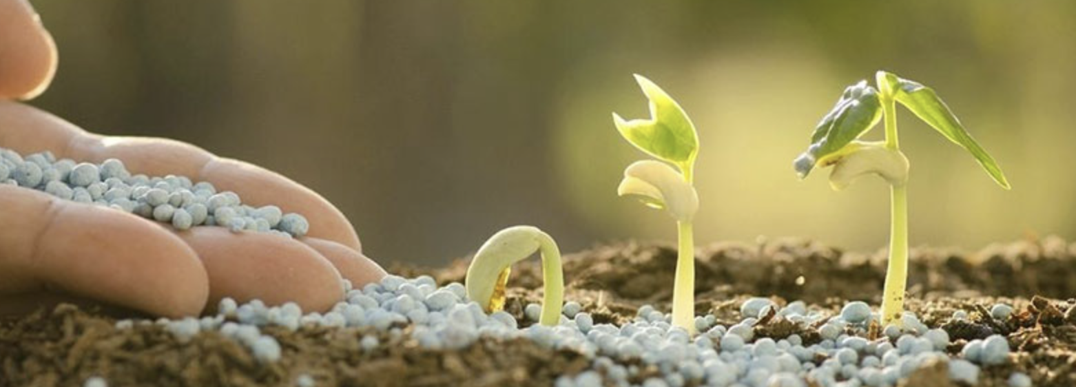 Усилитель удобрений Fertilizer enhancer