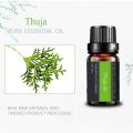 Aceite esencial de thuja 100%puro para la aromaterapia para el cuidado de la piel