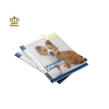 Custom Met Art Promotional Magazine and Catalog Printing Services