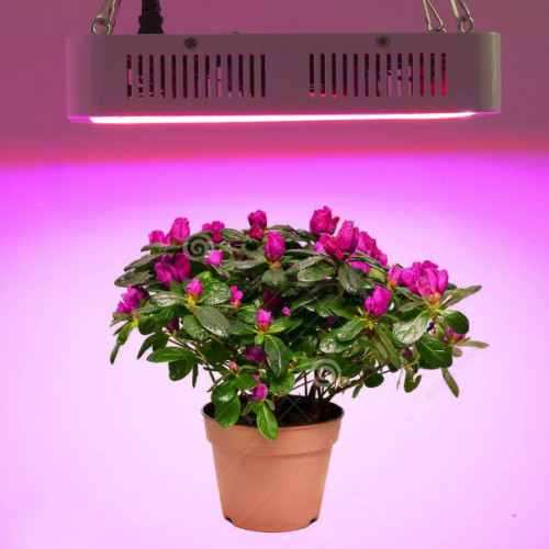 Çift çip 280W LED Grow Işık Paneli