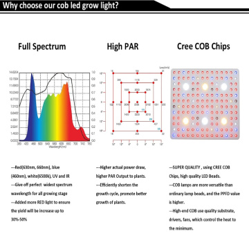 Greenhouses Led Plant Grow Light Cob 3000w