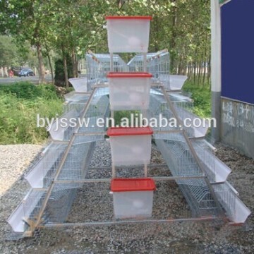 Bird Chicken Duck Cages Layer Cage and Battery Cage