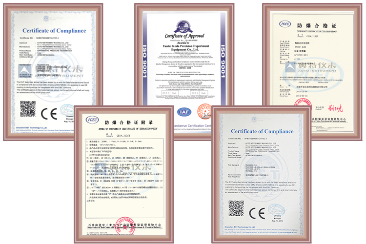 PD Flow Meter/Oil Field Flow Meter/Food Industry/Milk/Beer