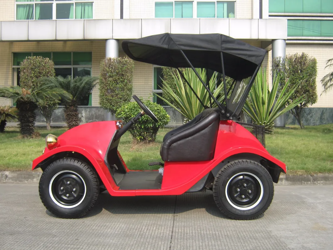 Top Sale 1.8kw 48V Motor-Driven Club Recreational Car