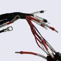 Assembly Power Wiring Harness