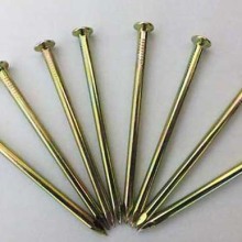 Galvanized Common Nails Concrete Nails Factory Exporter