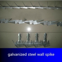 stainless steel wall spikes/plastic bird spikes,fence post spikes,wall spike fence