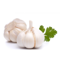 Cheap price 2021 new fresh garlic