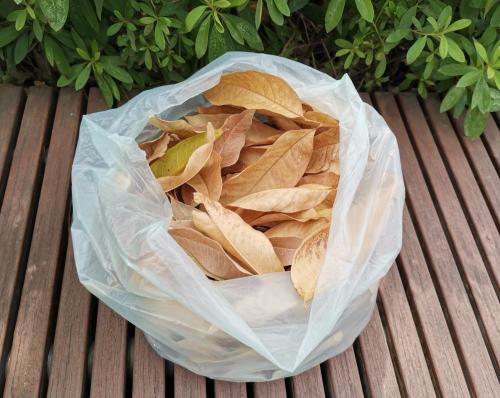 EN13432 Bolsas de basura grandes para jardín biodegradable certificadas