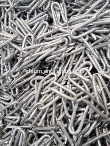 Manufacturer Supply U Type Nails/poultry netting staples 3/4"