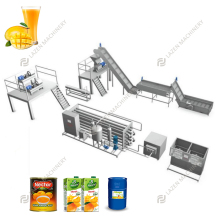 Factory Mango Juice Processing Machine | Mango Jam Extractor & Equipment | Mango Pulp Machine