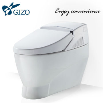 electronic temperature control toilet seat