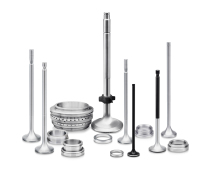 Marine Diesel Engine NIIGATA Valve