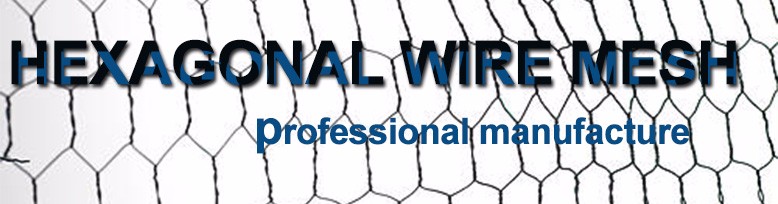 1/2" Galvanized Hexagonal Wire Mesh Chicken Wire  Mesh