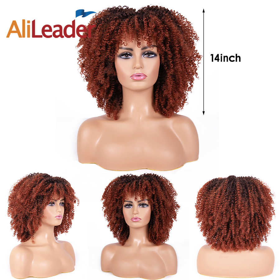 Afro Curly Wig 21