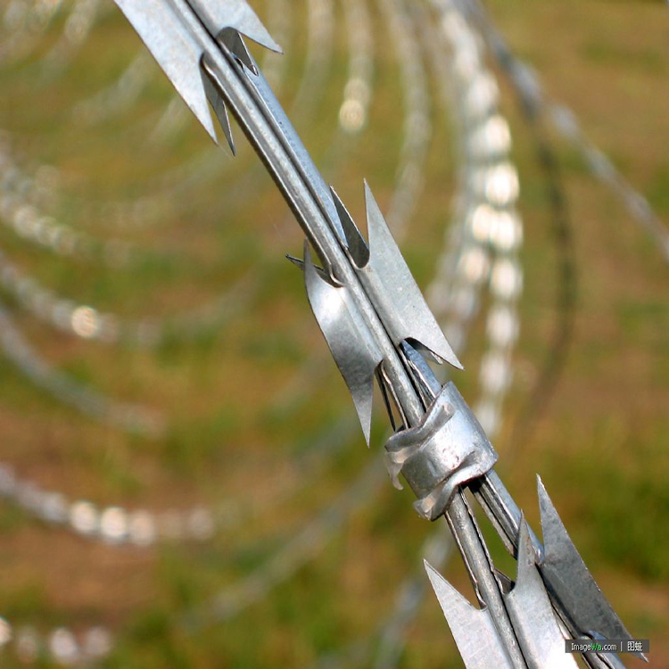 Stainless Steel Finish Concertina Razor Barbed Wire