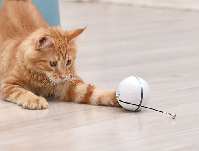 Amazon Popular Promotion USB Charging 360 Degree Auto-rotating Cat Toy Ball Interactive Smart Pet Supplies