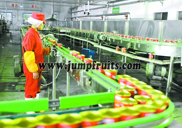 Canned food production line