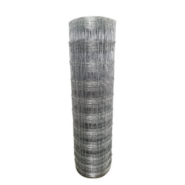 High Standard Electro Galvanized Welded Wire Mesh