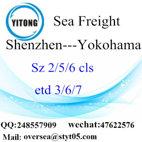 Shenzhen Port LCL củng cố đến Yokohama