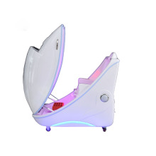 Sauna Ion Detox Array Red Light Therapy Spa Capsule