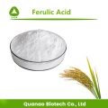 Reis-Bran-Extrakt Ferulinsäure 98% Pulver-Hautpflege