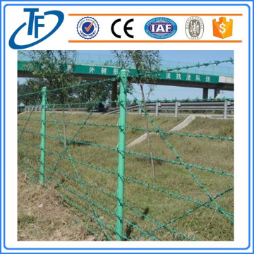 Stainless galvanized and PVC coated Barbed wire