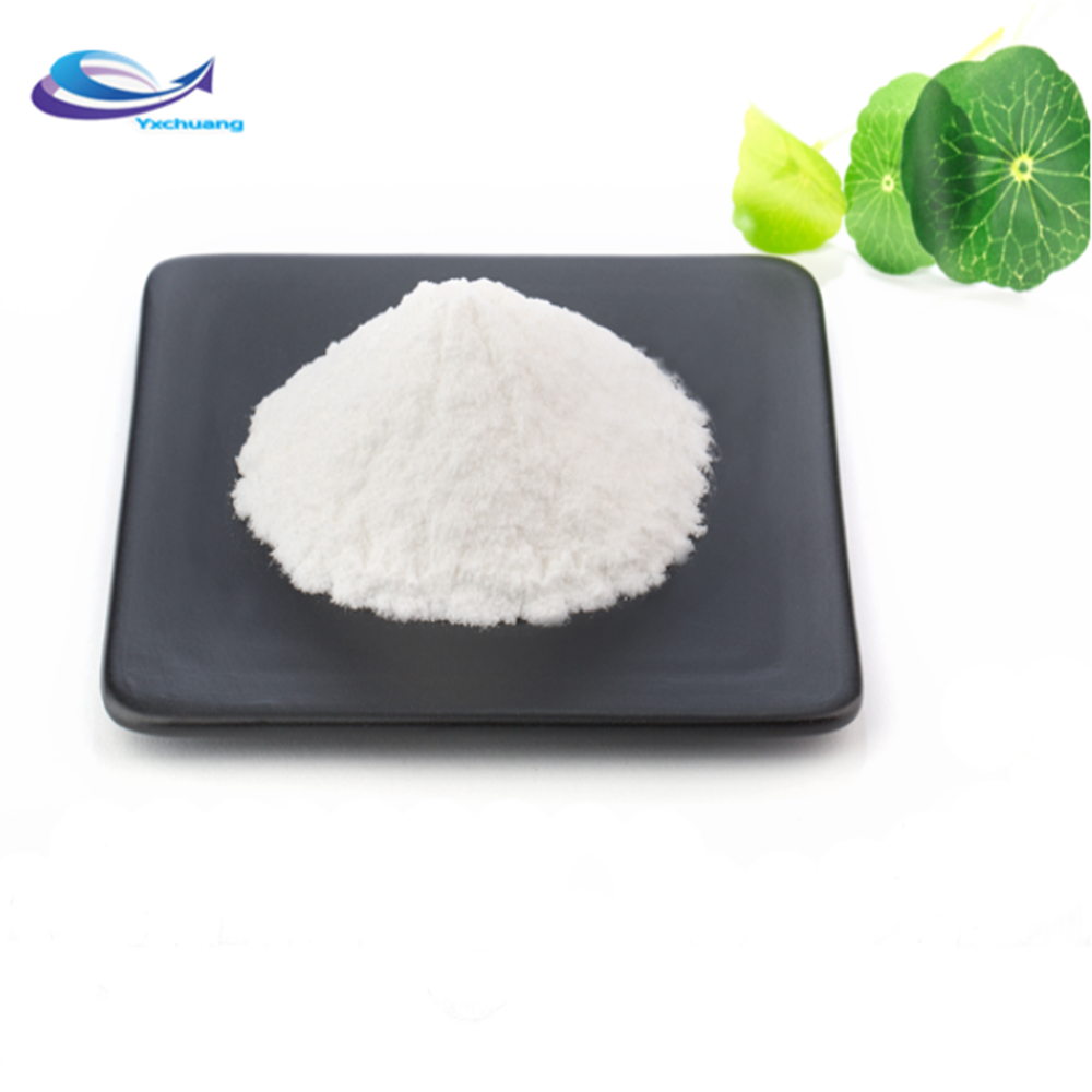 Stevia Sweetener Sugar