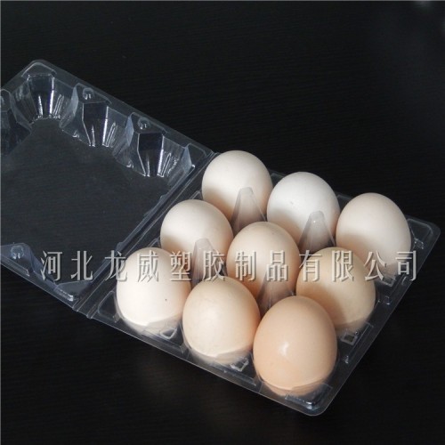 12pcs plastic Blister egg trays pet/pvc type egg tray