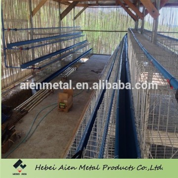 galvanized egg laying cages