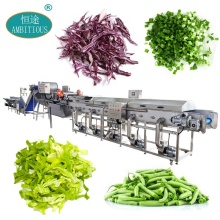 Automatic Vegetable Salad Cutting, Washing, and Drying Production Line - Made in China