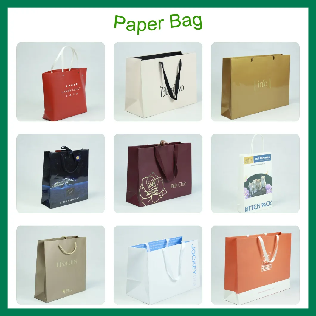 Custom Paper Bags with Twisted Paper Handles