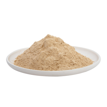 Dead Burned Magnesia Powder (DBM 95) - Refractory Raw Material Price