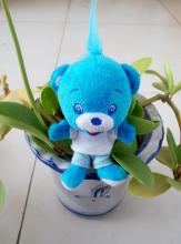 Blue classic head Mao Xiaoxiong key chain