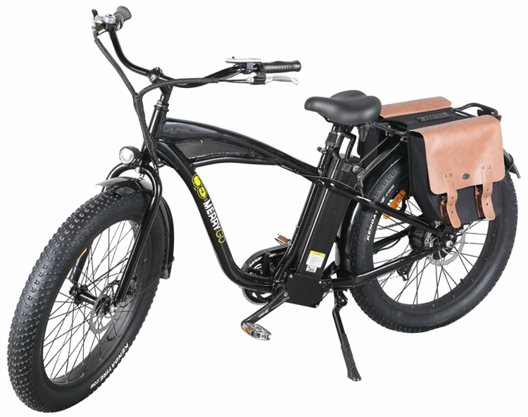 Factory Supply 500W MID Motor Electric Bike