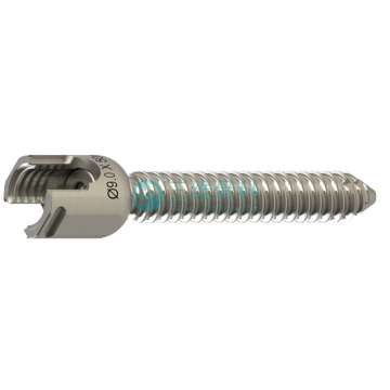 Orthopedic Implant  Spinal Screws U Pedicle Screw