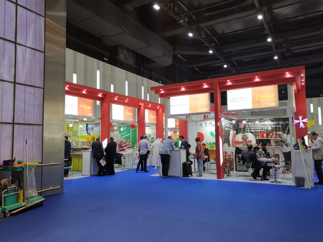 Best Price of Dehydrated Vegetables Garlic Powder with Different Specifications