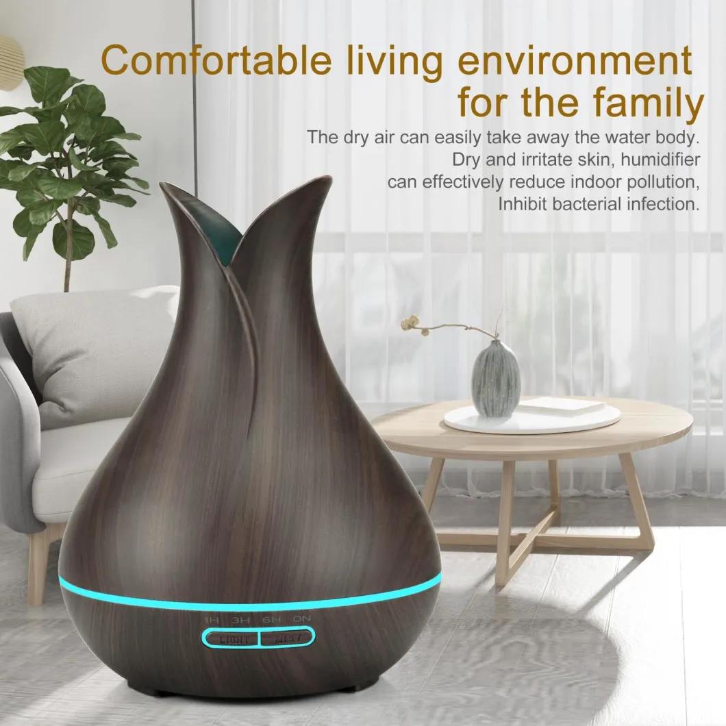 Humidifier Air Purifier LED Night Light Aroma Diffuser