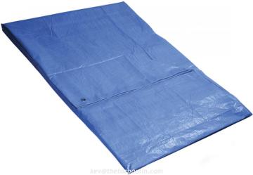 50gsm PE tarpaulin sheet with eyelets and rope