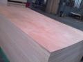 1220 * 2440mm storlek kommersiella plywood
