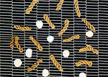 Stainless Steel Flat Flex Belt