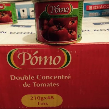 Tomato Paste China Canned Tomato Paste Exporter